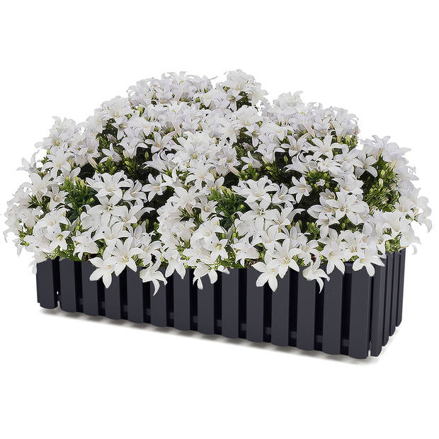 Prosperplast bloembak - kunststof - fence-look - 58 x 18 x 16 cm - Plantenpotten
