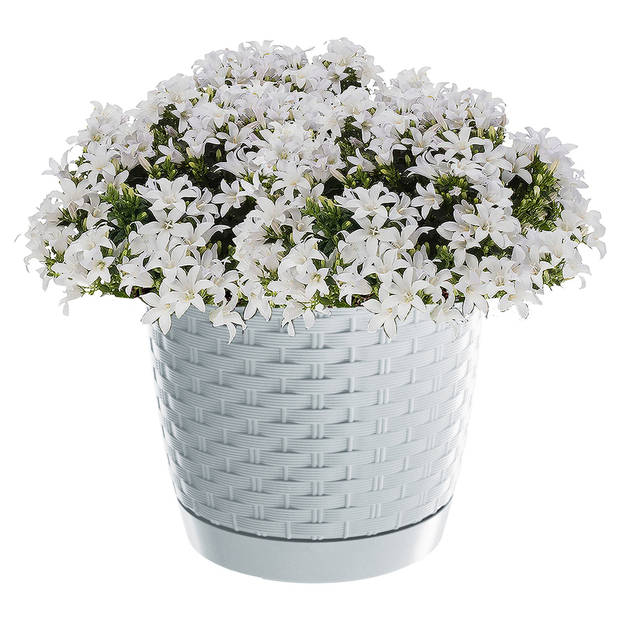 Prosperplast plantenpot - kunststof - D25 x H22 cm - parel wit - Plantenpotten