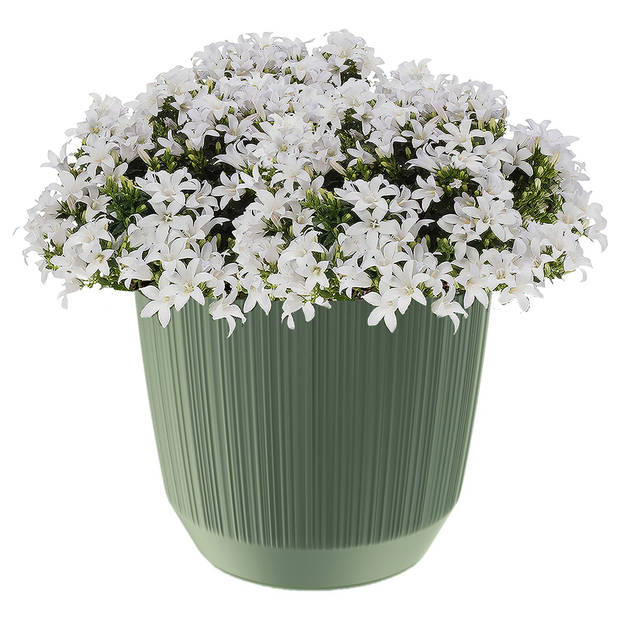 Prosperplast plantenpot/bloempot - kunststof - groen - D19,5 x H17 cm - Plantenpotten