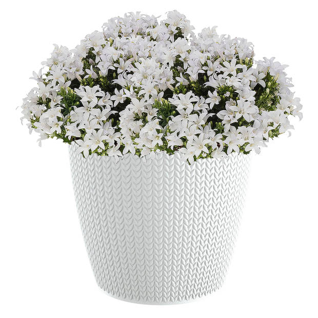 Stijlvolle plantenpot/bloempot kunststof dia 22 cm en hoogte 19 cm parel wit - Plantenpotten