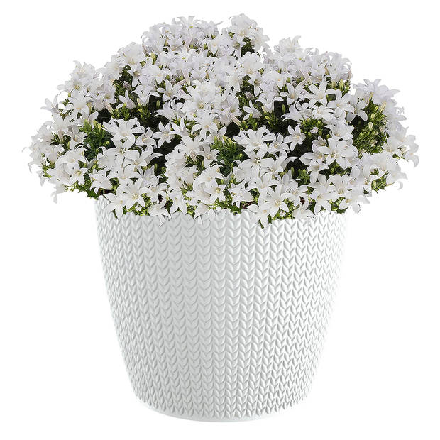 Prosperplast Plantenpot - parel wit - kunststof - D22 x H19 cm - Plantenpotten