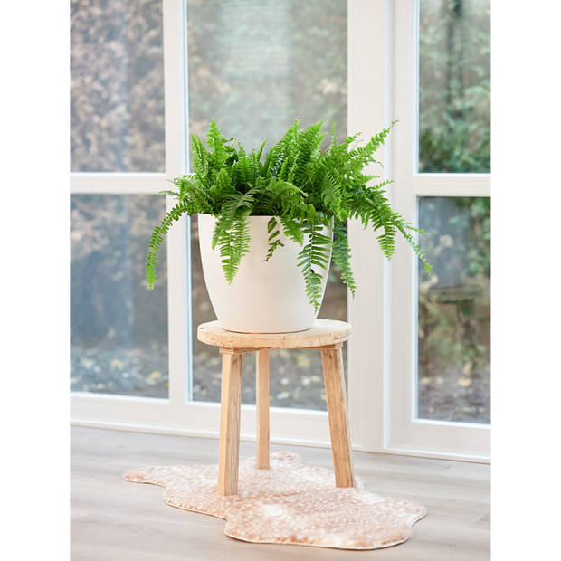 Steege Bloempot - wit - Scandinavische look - keramiek - 20 x 19 cm - Plantenpotten