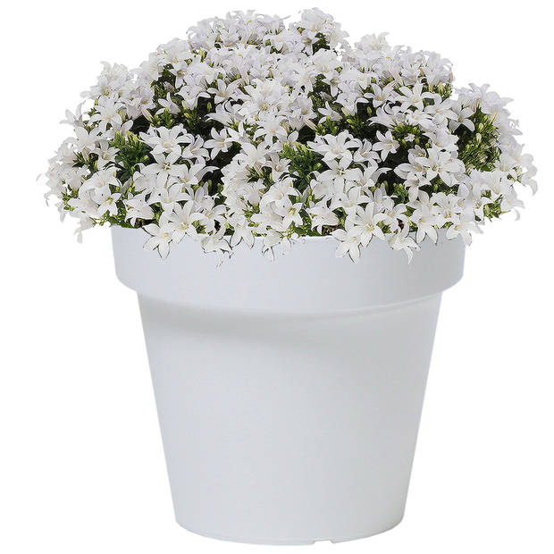 Prosperplast Bloempot - kunststof - parel wit - D20 x H18 cm - Plantenpotten