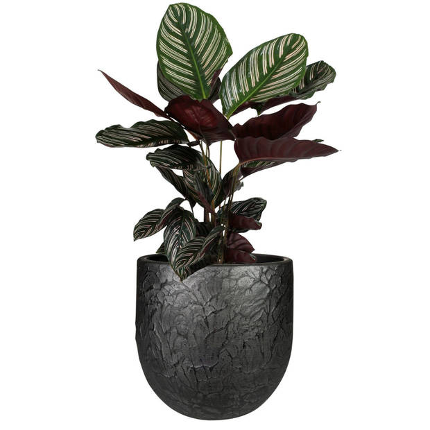 Ter Steege Plantenpot - antiek look - keramiek - zwart - D28 x H25 cm - Plantenpotten