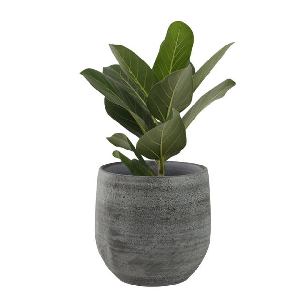 2x stuks plantenpotten/bloempotten in een strakke Modern design look mystic grijs Dia 18 cm en Hoogt - Plantenpotten