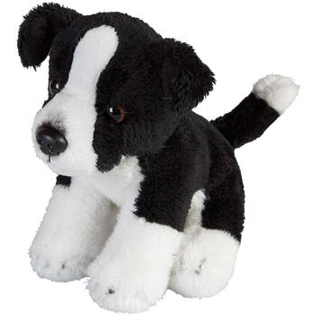 Pluche knuffel dieren Border Collie hond van 15 cm - Knuffel huisdieren