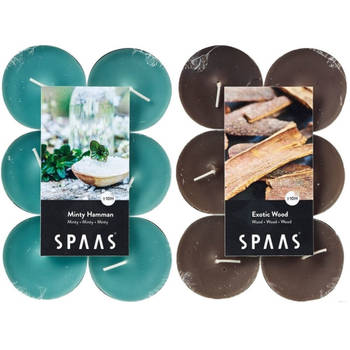 Candles by Spaas geurkaarsen - 24x stuks in 2 geuren Mint en Exotic wood - geurkaarsen