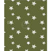 Polyester fleece deken/dekentje/plaid 130 x 170 cm marine groen met sterren - Plaids