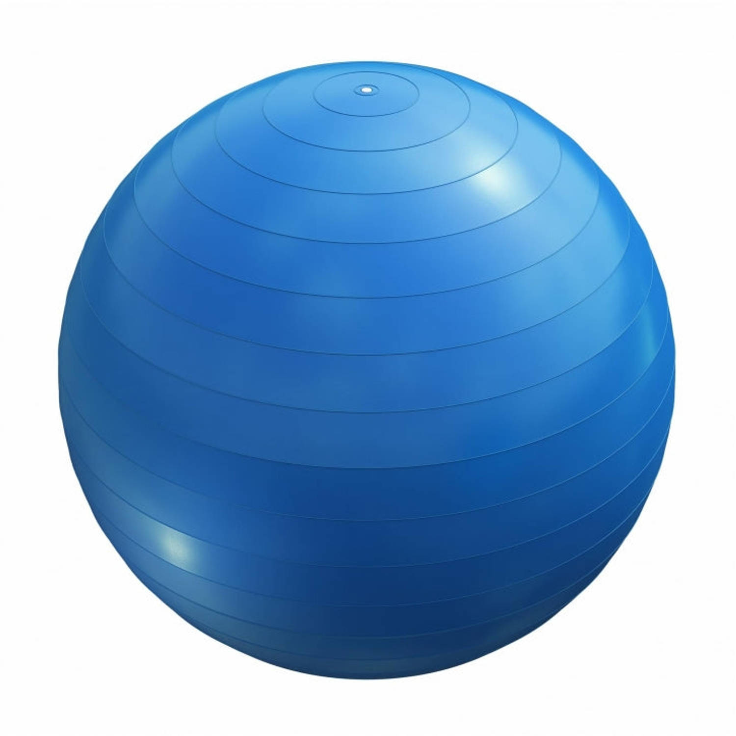 Fitness Bal Blauw 55 Cm Inclusief Pomp Belastbaar Tot 500 Kg