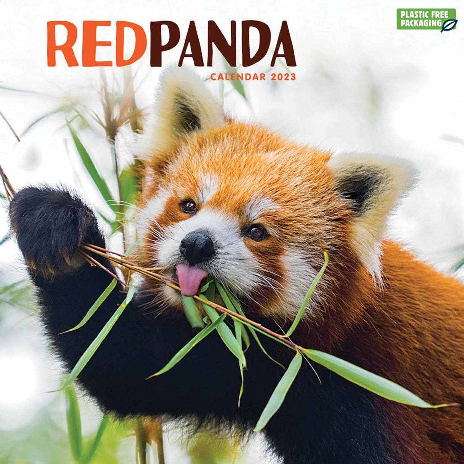 Rode Panda Kalender 2023