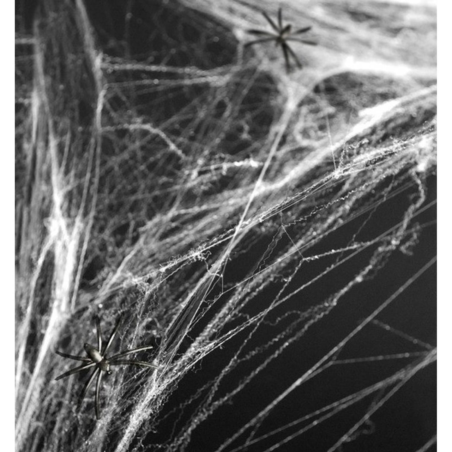 Halloween Witte spinnenweb decoratie met 2 spinnen Feestdecoratievoorwerp
