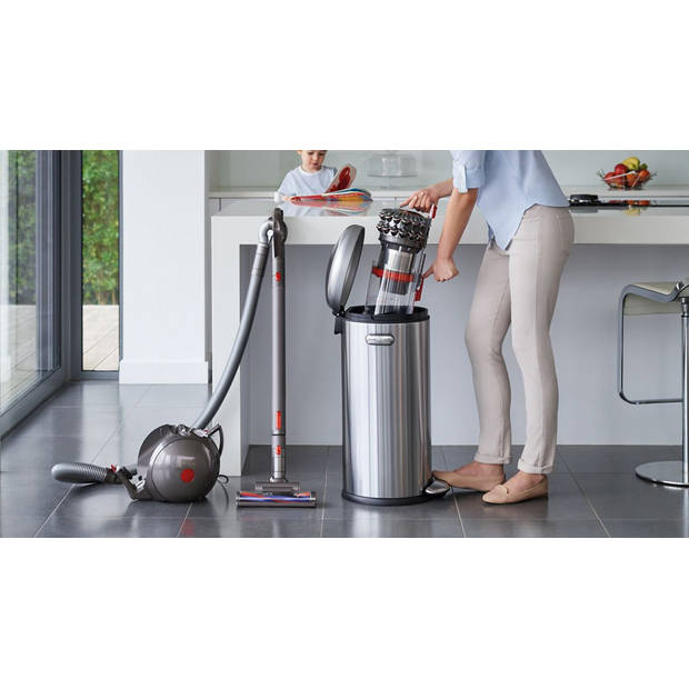 Dyson stofzuiger Cinetic Big Ball Animal Pro 2