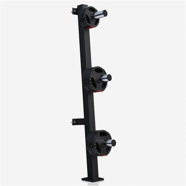 Gorillasports Halterschijven Standaard - Wandmontage 50 mm - Schijven opbergrek - Zwart