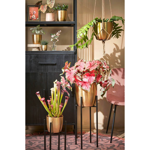 Mica Decorations - Plantenpot-bloempot - metaal - goud - D28 en H27cm - Plantenpotten