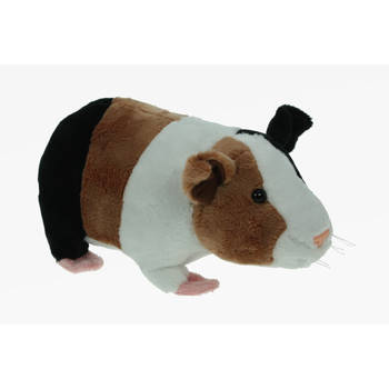 Pluche knuffel dieren Cavia van 20 cm - Knuffel huisdieren