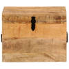 The Living Store opbergbox Antieke stijl gereedschapskist - 39 x 28 x 31 cm - Massief mangohout