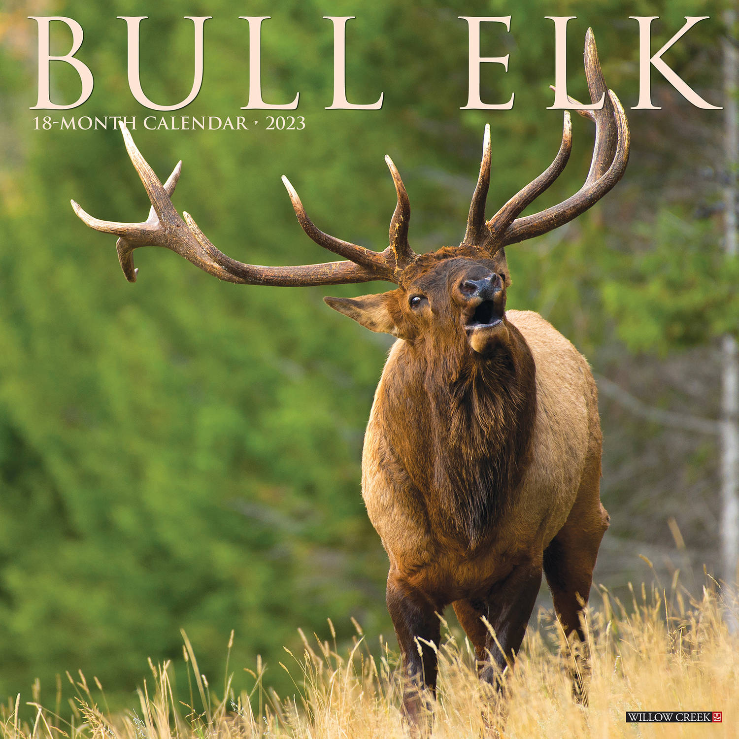 Bull Elk Kalender 2023