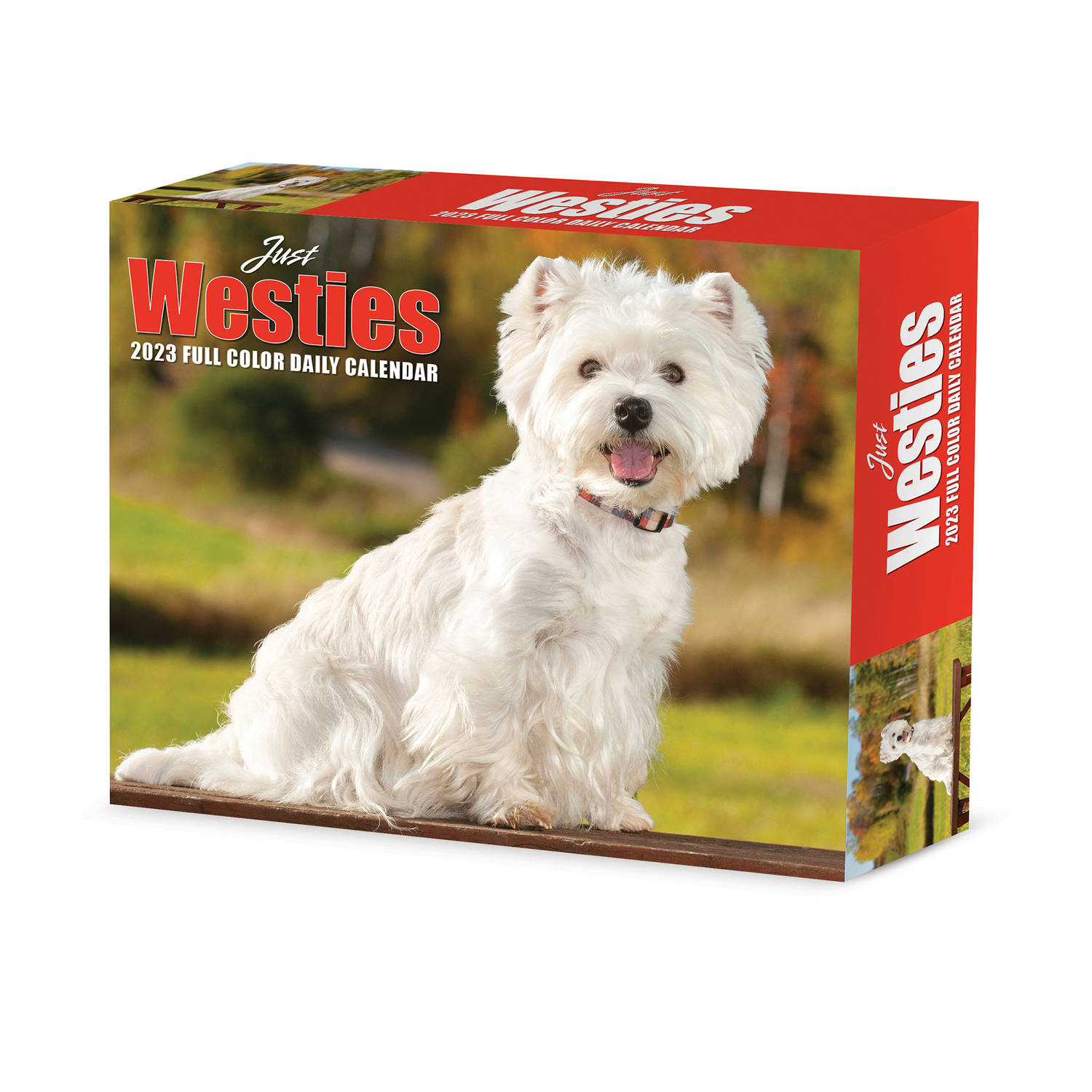 West Highland White Terrier Kalender 2023 Boxed