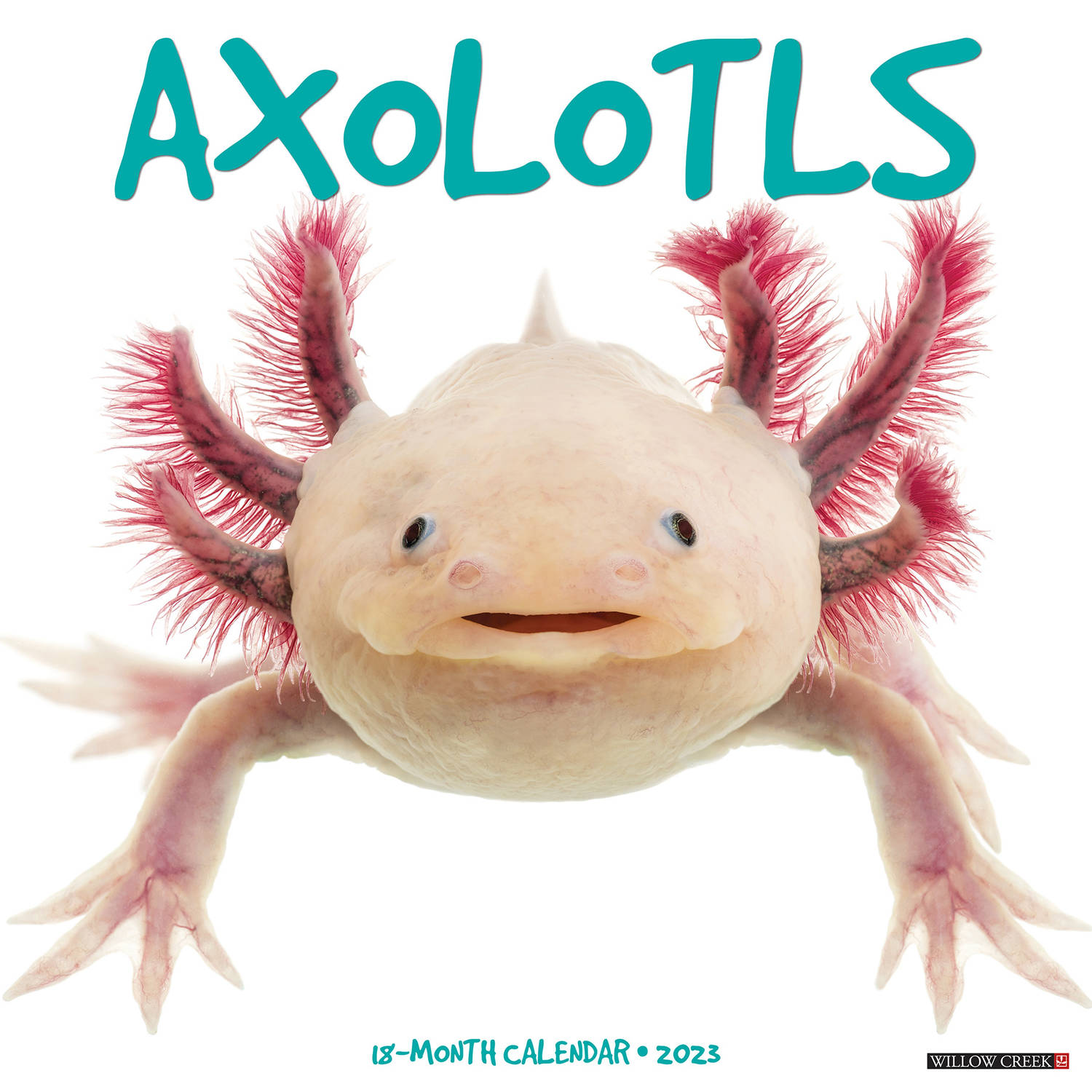 Axolotls Kalender 2023