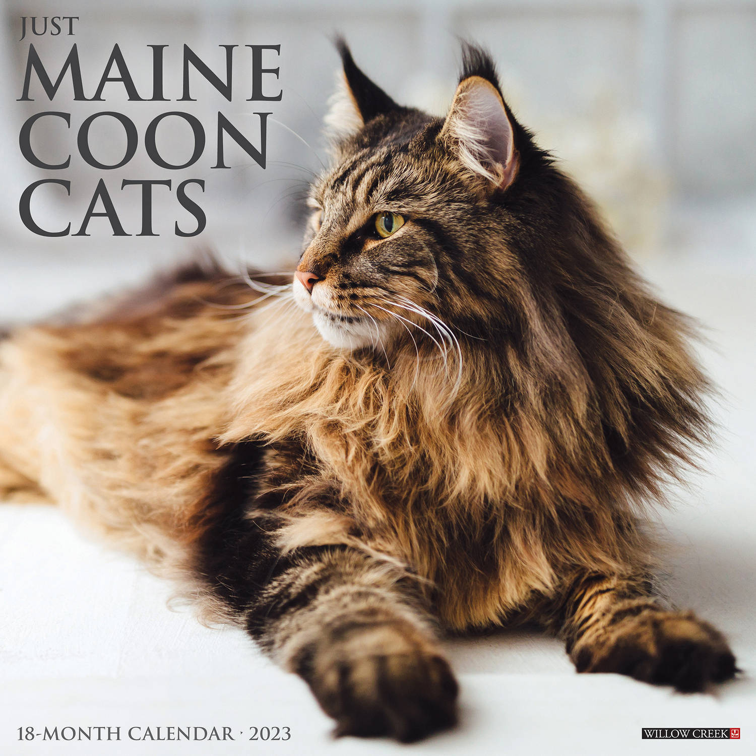 Maine Coon Kalender 2023