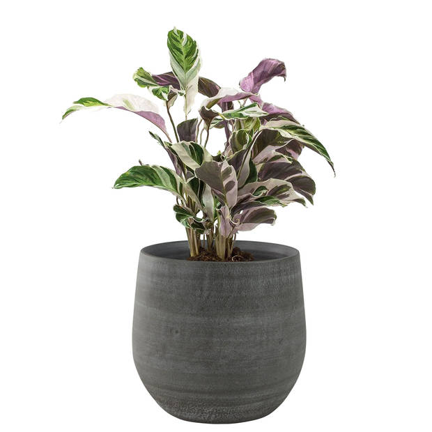 2x stuks plantenpotten/bloempotten in een strakke Modern design look mystic grijs Dia 31 cm en Hoogt - Plantenpotten