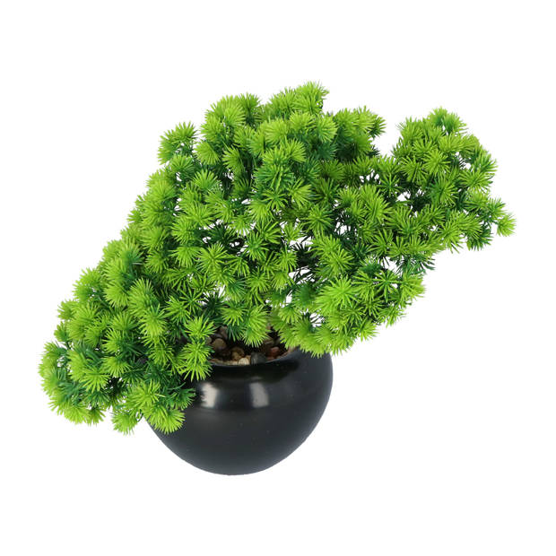 Kopu® Kunstplant Bonsai Lariks 26 cm met zwarte Pot - Bonsai boompje