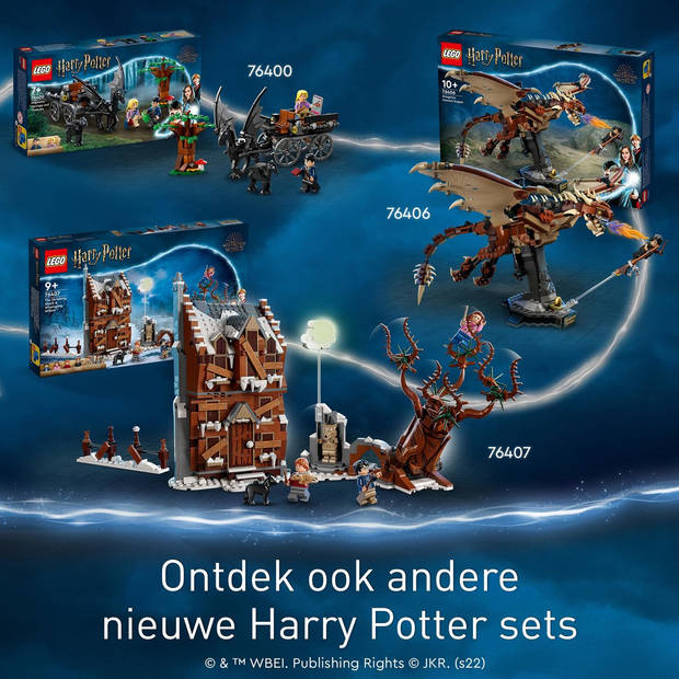 LEGO Harry Potter Hongaarse Hoornstaart draak - 76406