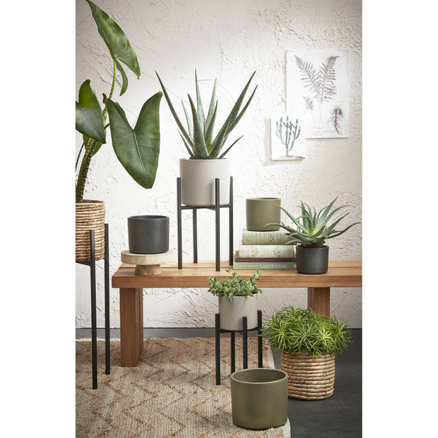 Mica Decorations Plantenstandaard - verhoger - zwart - H55 x B24 cm - Plantenstandaarden