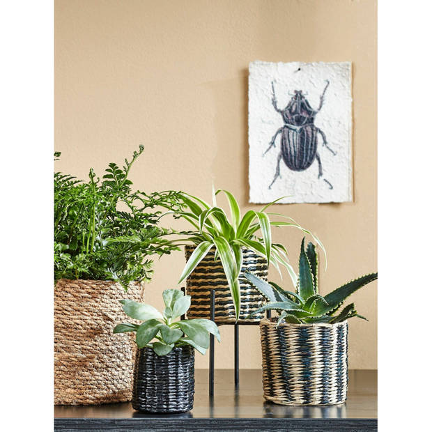 Mica Decorations Plantenstandaard - verhoger - zwart - H12 x B10 cm - Plantenstandaarden