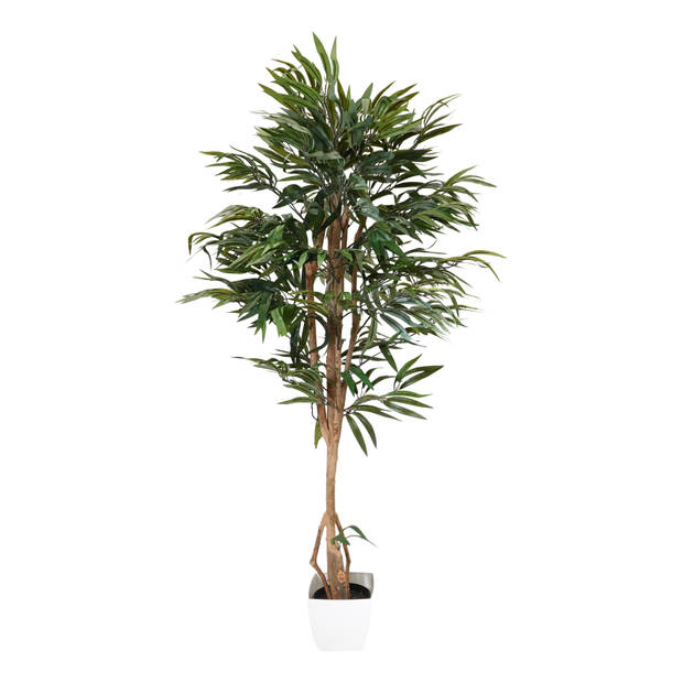 Kopu® Kunstplant Ficus 150 cm met witte Pot - 720 bladeren