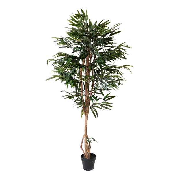 Kopu® Kunstplant Ficus 150 cm in witte pot - 720 bladeren