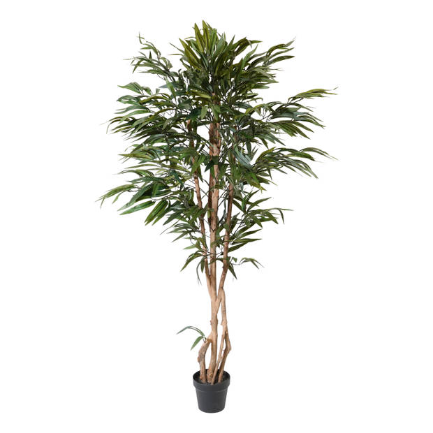 Kopu® Kunstplant Ficus 150 cm met witte Pot - 720 bladeren