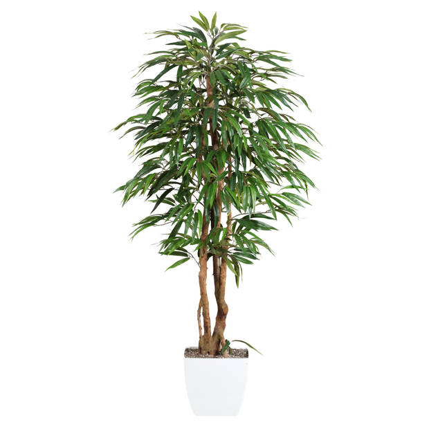 Kopu® Kunstplant Ficus 150 cm met witte Pot - 720 bladeren