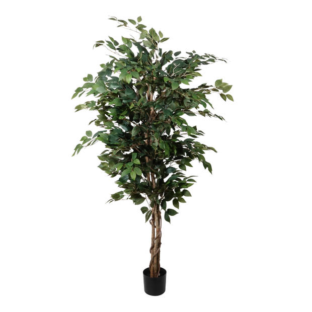 Kopu® Kunstplant Ficus Benjamina 150 cm in zwarte pot - 1764 bladeren