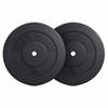 Gorilla Sports Halterschijven Set - Bundel - 30 kg (2 x 15 kg) - Kunststof - 30 mm