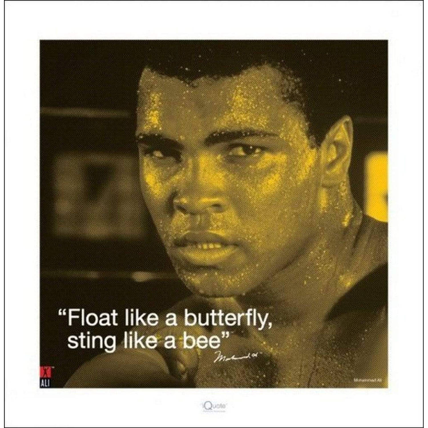 Muhammad Ali I.Quote Sting like a Bee
