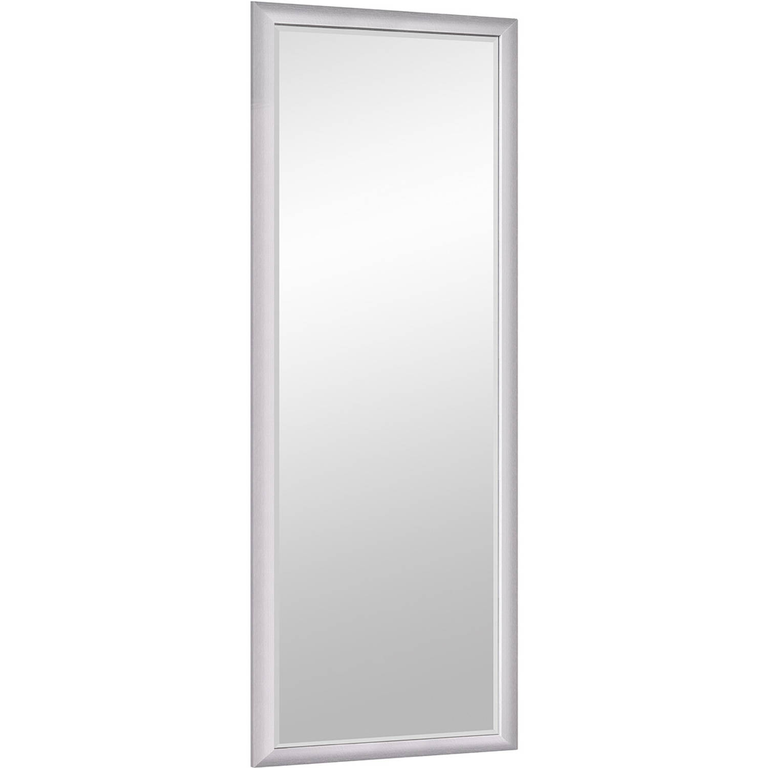 Spiegel - Trion Pamiro - 50x150cm - Wandspiegel in Frame - Mat Zilver