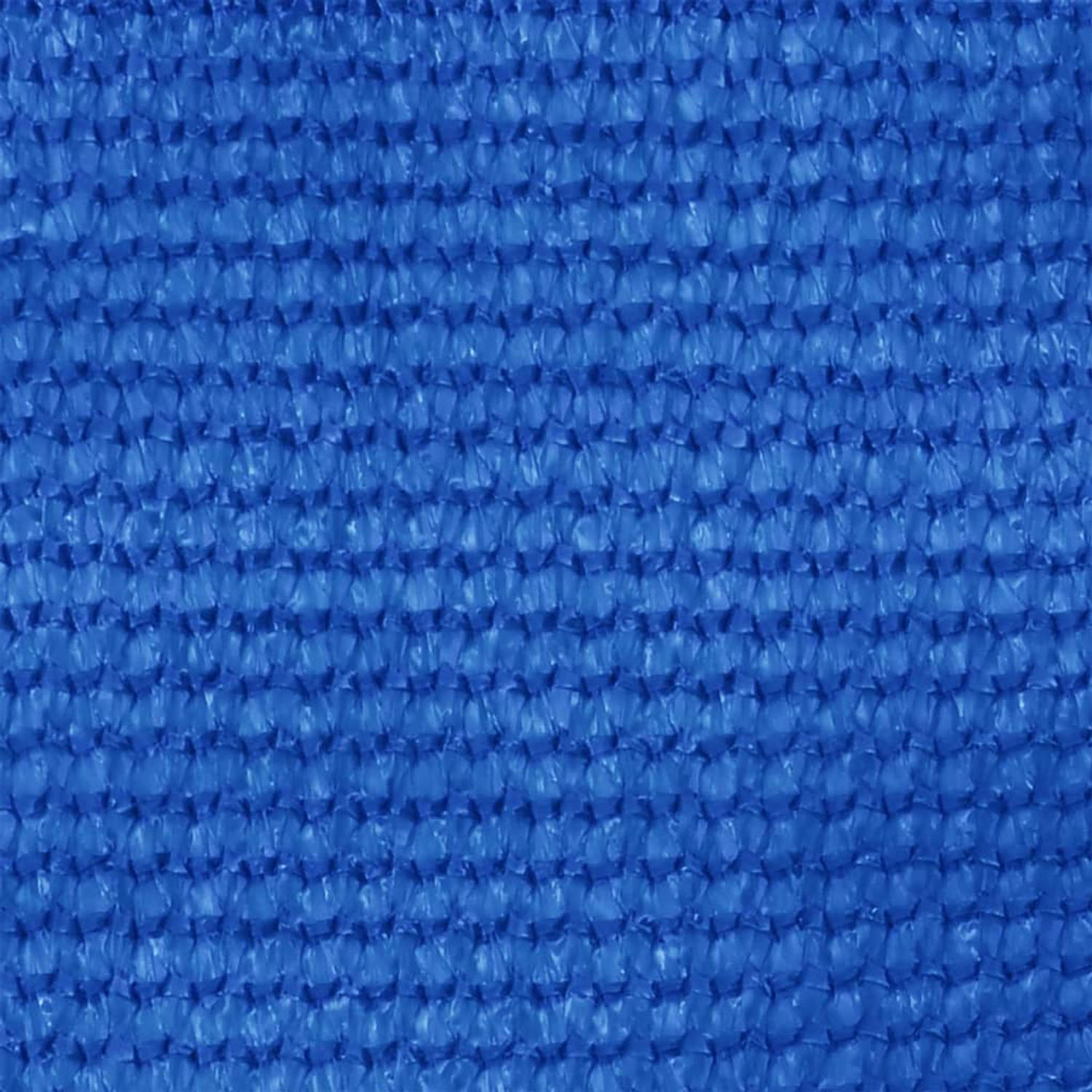 The Living Store Tenttapijt - HDPE - Blauw - 250 x 450 cm - Geïntegreerde oogjes - Weerbestendig