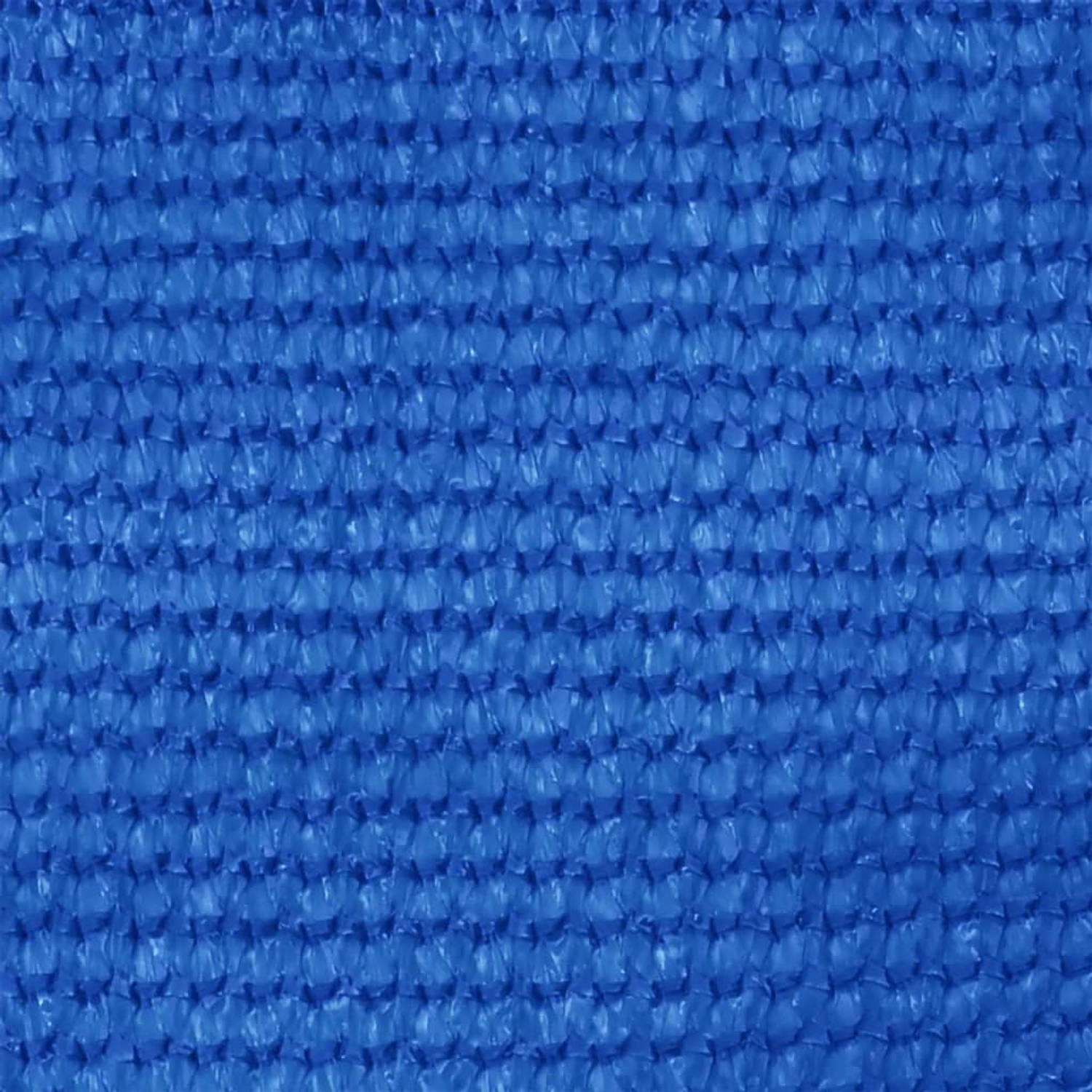 The Living Store Tenttapijt - HDPE - Blauw - 250 x 500 cm - Geïntegreerde oogjes