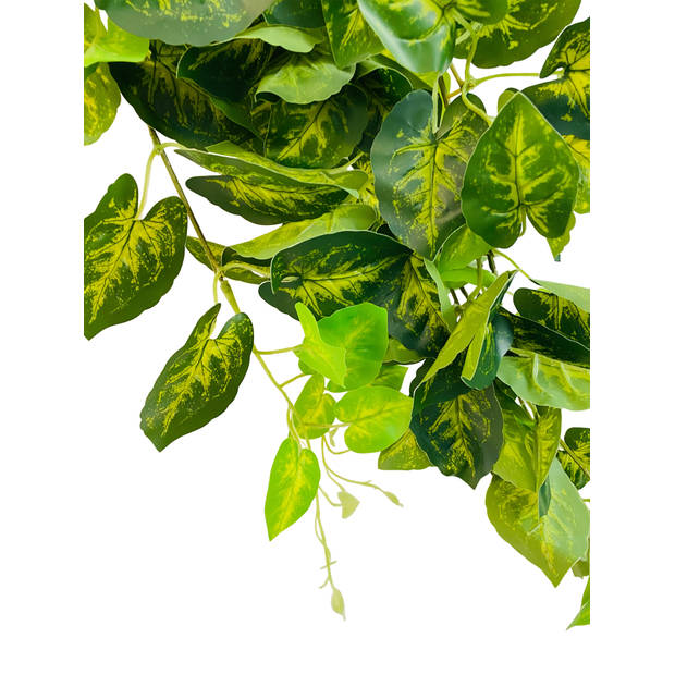 HEM Drakenklimop (Syngonium) Kunstplant Volle Hangplant - Kunstplant 100 cm - Levensechte Kunstplant