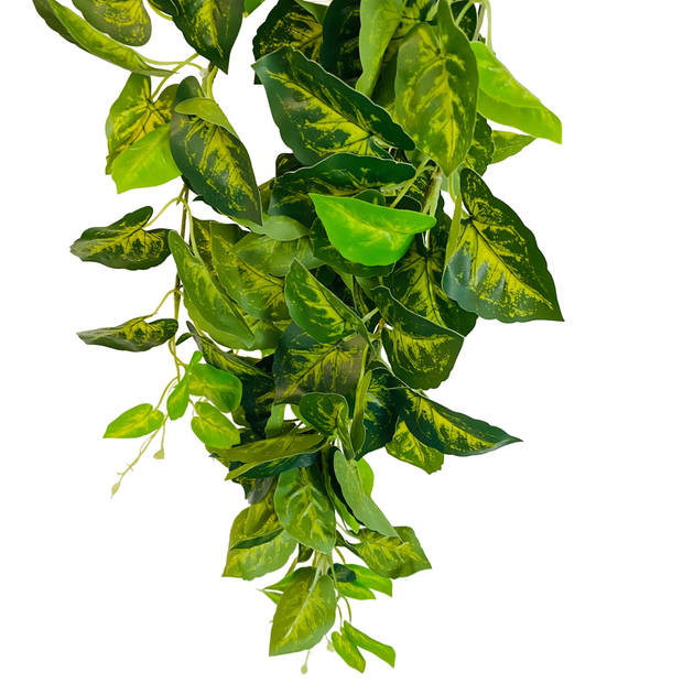 HEM Drakenklimop (Syngonium) Kunstplant Volle Hangplant - Kunstplant 100 cm - Levensechte Kunstplant
