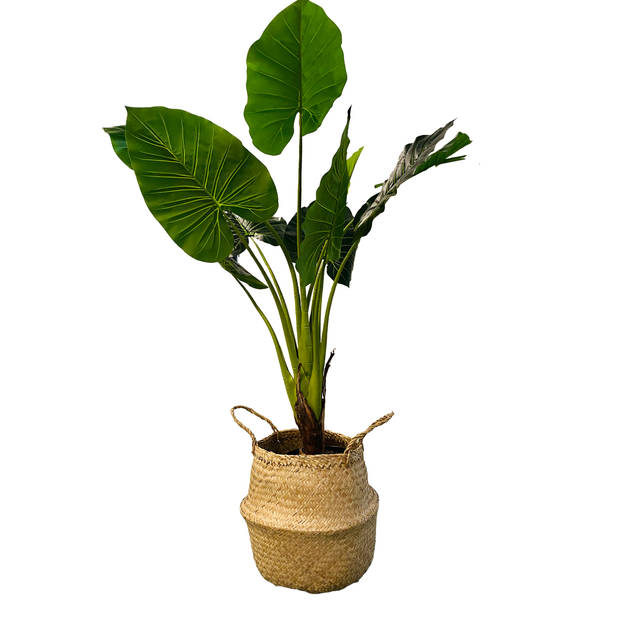 HEM Kunst Palm - Kunst Colocasia Taro Plant - Colocasia Taro Kunstplant 90 cm in zwarte pot - Kunstplant voor binnen