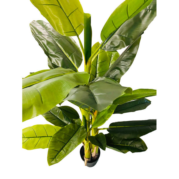 HEM Kunst Palm - Kunst Bananenplant - Bananen Kunstplant 165 cm - Kunstplant voor binnen - Grote Kunstplant