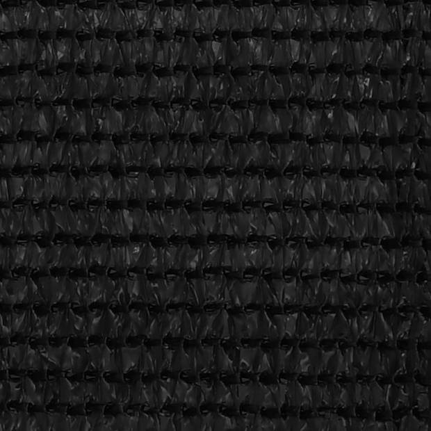 vidaXL Tenttapijt 250x450 cm zwart