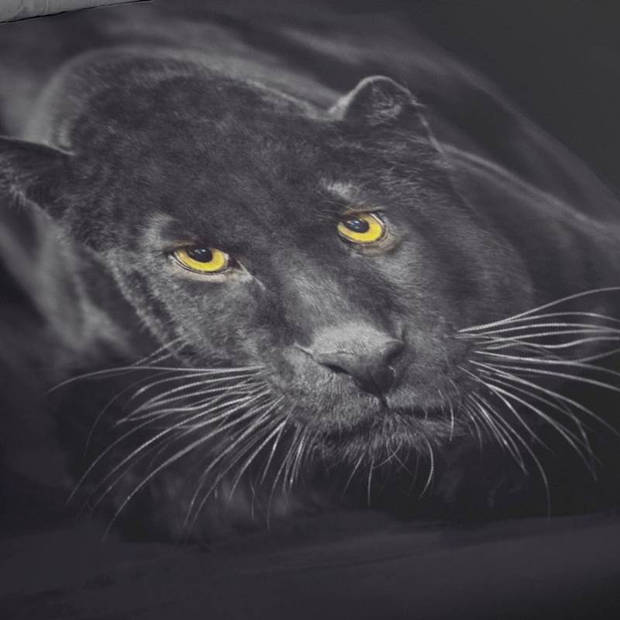 Pure Dekbedovertrek Black Panther-2-persoons (200 x 200/220 cm)