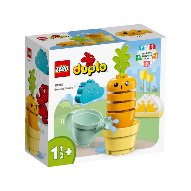 Duplo Wachsende Karotte