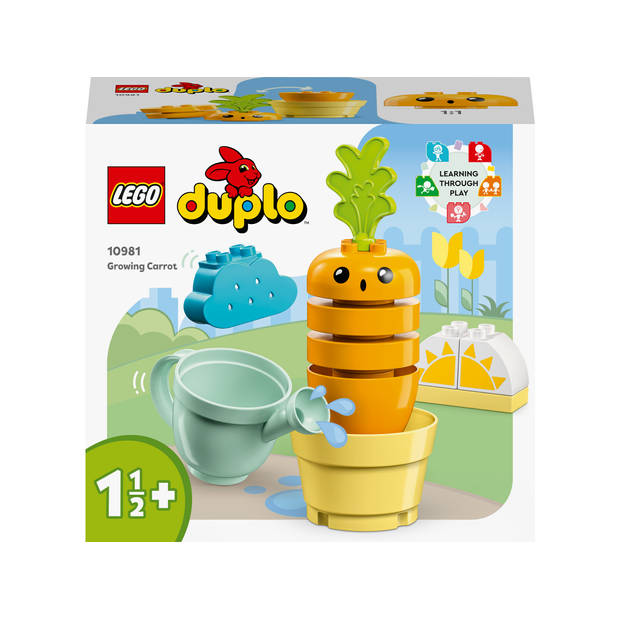 Duplo Wachsende Karotte