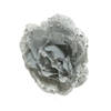 Roos pes clip d14h8,5 cm zilver