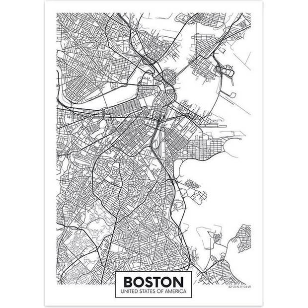 Canvas city map Boston 30X40cm