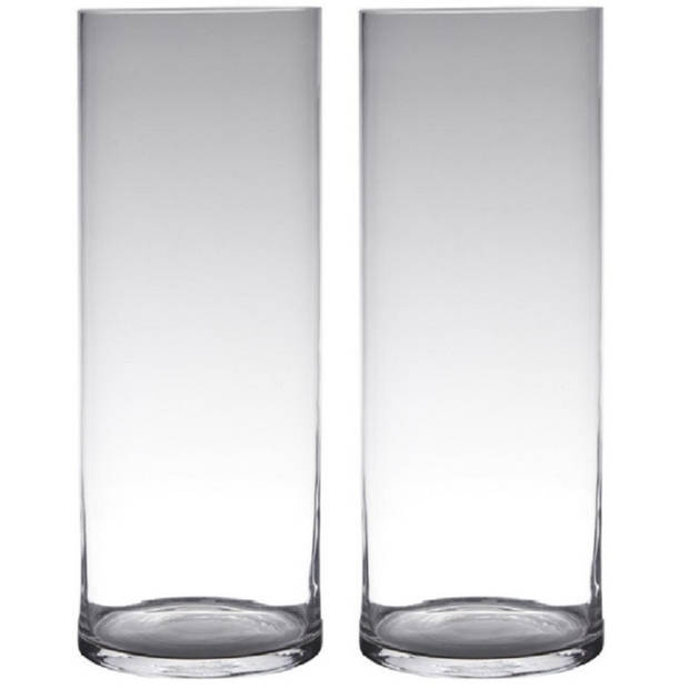 Set van 2x stuks transparante home-basics cylinder vorm vaas/vazen van glas 50 x 19 cm - Vazen